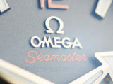 Omega Seamaster Planet Ocean 600m Titanium Unworn