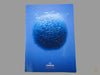 Omega Planet Ocean Brochure 2011